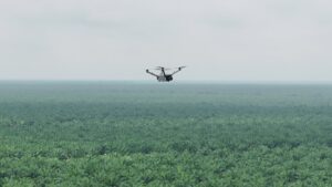 Teknologi Drone Thermal untuk Mencegah Kebakaran di Perkebunan Luas