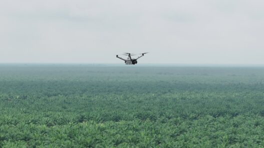 Teknologi Drone Thermal untuk Mencegah Kebakaran di Perkebunan Luas