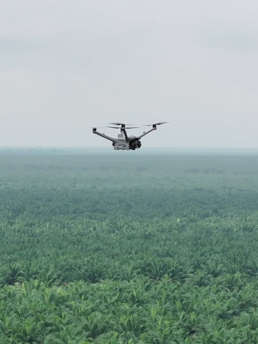 Teknologi Drone Thermal untuk Mencegah Kebakaran di Perkebunan Luas