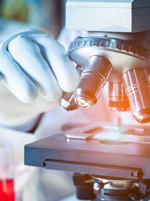 Prodia Hadirkan Advanced Lipid Profile dengan Report   Komprehensif, Bantu Masyarakat Pahami Arti di Balik Angka Kolesterol