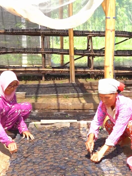 MIND ID Bina Lebih dari 10.000 UMKM untuk Perkuat Ekonomi Lokal dan Tekan Kemiskinan