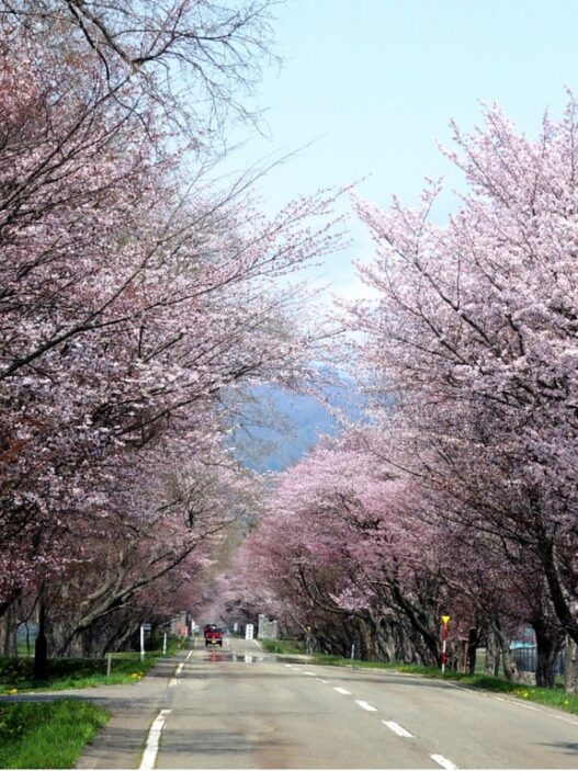 Rekomendasi Event Lari Maraton & Jalan Santai di Hokkaido