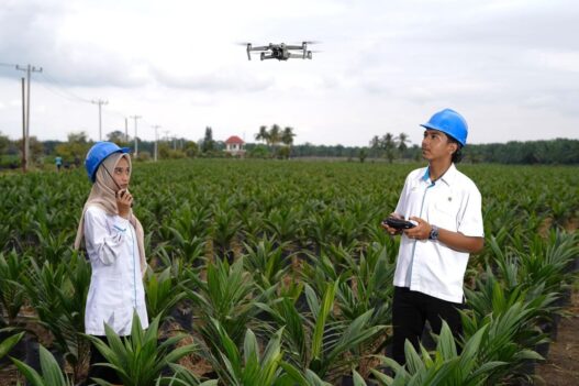 Holding Perkebunan Nusantara Percepat Transformasi Digital, PalmCo Sertifikasi Operator Drone Perkuat Sistem Pemantauan Kebun