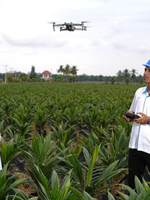 Holding Perkebunan Nusantara Percepat Transformasi Digital, PalmCo Sertifikasi Operator Drone Perkuat Sistem Pemantauan Kebun