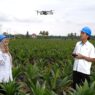 Holding Perkebunan Nusantara Percepat Transformasi Digital, PalmCo Sertifikasi Operator Drone Perkuat Sistem Pemantauan Kebun