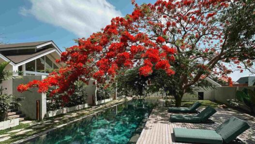 ASAI Village Jimbaran: Oase Wellness di Bali