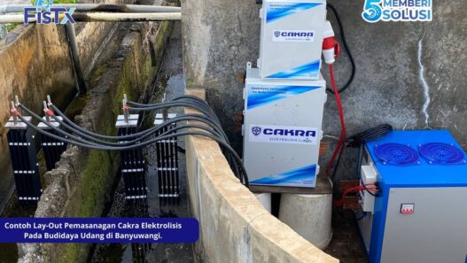 Era Baru Budidaya Udang Indonesia Tiba : FisTx Terapkan Sistem Perlindungan Berlapis UV dan Elektrolisis di Tambak Banyuwangi