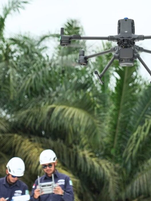 Manajemen Vegetasi dan Analisis Koridor Transmisi dengan Software LiDAR Terrasolid
