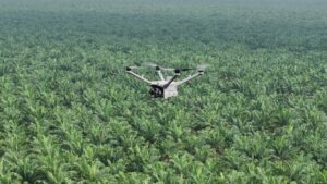 Pemantauan Keamanan Hutan dan Deteksi Kebakaran Lahan dengan DJI Dock 3