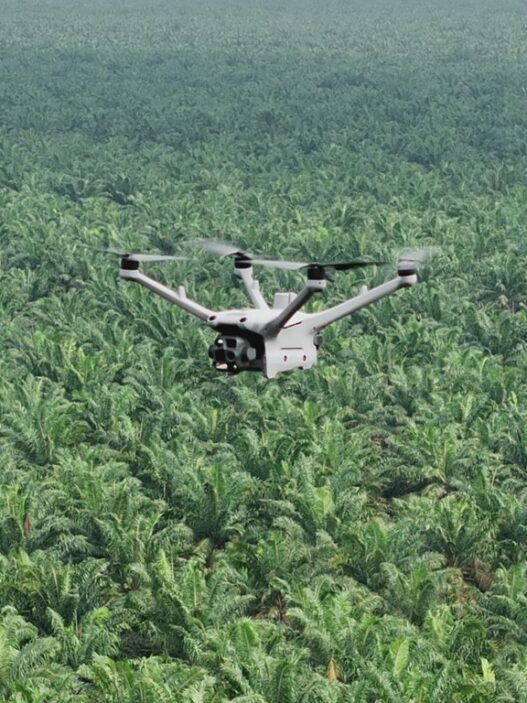 Pemantauan Keamanan Hutan dan Deteksi Kebakaran Lahan dengan DJI Dock 3
