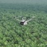 Pemantauan Keamanan Hutan dan Deteksi Kebakaran Lahan dengan DJI Dock 3