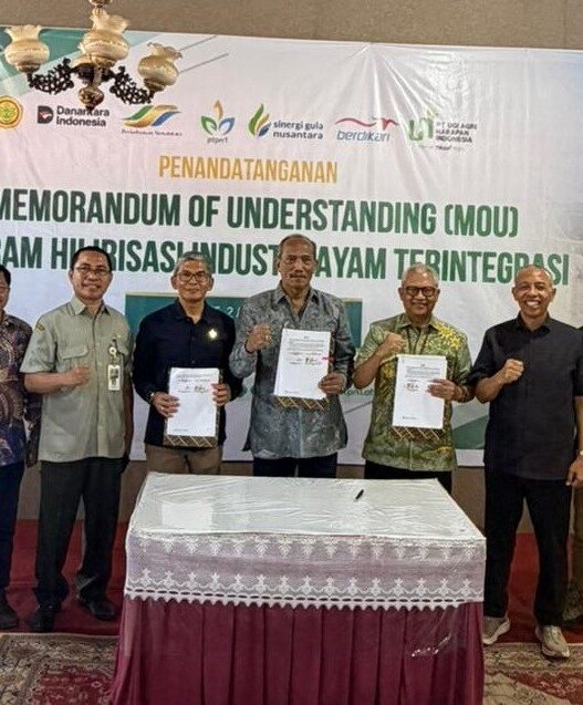 Holding Perkebunan Nusantara Akselerasi Ketahanan Pangan, PTPN I Bangun Ekosistem Terintegrasi di Bone