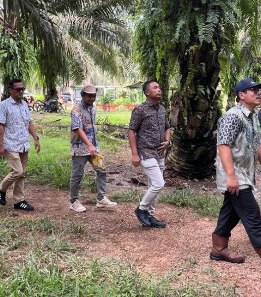 Holding Perkebunan Nusantara Perkuat Pengawasan Operasional, PTPN IV Regional VII Tingkatkan Produktivitas Kebun