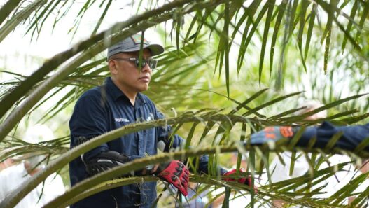 Holding Perkebunan Nusantara Siaga Hadapi Kemarau, PalmCo Perkuat Deteksi Dini Karhutla dan Strategi Agronomi