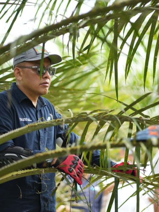 Holding Perkebunan Nusantara Siaga Hadapi Kemarau, PalmCo Perkuat Deteksi Dini Karhutla dan Strategi Agronomi