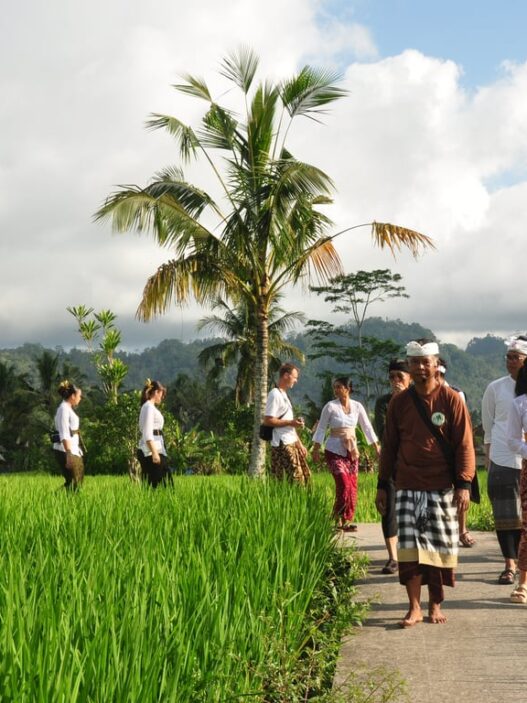 Maharasa Gastronomy Experience Angkat Spiritualitas Pangan dan Tradisi Luhur Bali