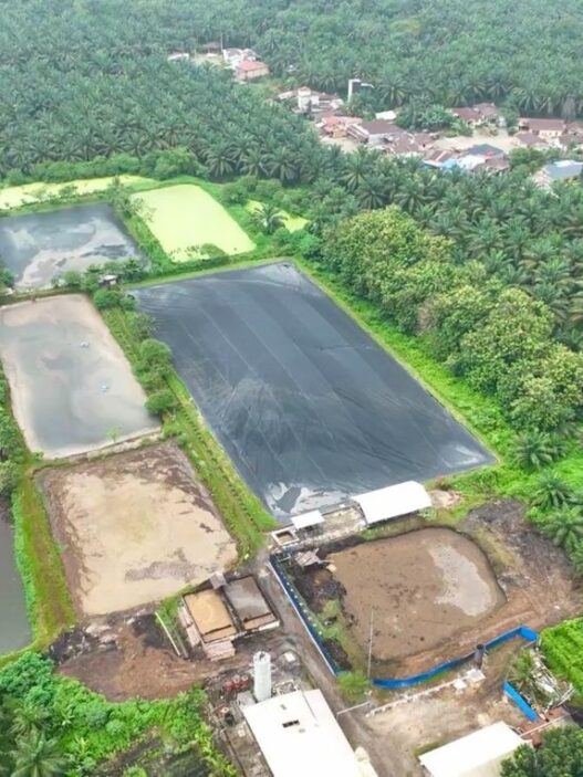 Hadapi Gejolak Energi Global, Holding Perkebunan Nusantara Andalkan PLTBg PalmCo