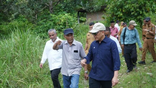 Didorong Kementan, Holding Perkebunan Nusantara Percepat Hilirisasi Gambir Nasional