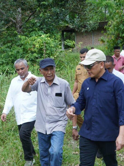 Didorong Kementan, Holding Perkebunan Nusantara Percepat Hilirisasi Gambir Nasional