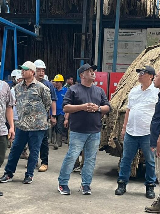 Holding Perkebunan Nusantara Perkuat Produktivitas Karet, PTPN I Fokus Benahi Kebun Padang Pelawi
