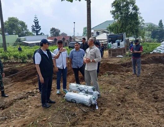 Holding Perkebunan Nusantara Kembangkan Kawasan Bawang Putih Berbasis Konservasi di Jawa Barat