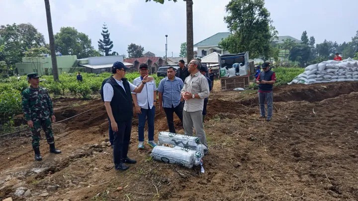 Holding Perkebunan Nusantara Kembangkan Kawasan Bawang Putih Berbasis Konservasi di Jawa Barat