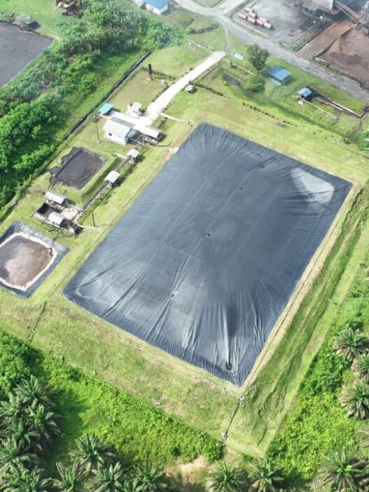 Holding Perkebunan Nusantara Perkuat Transisi Energi Bersih melalui Perdagangan Karbon PTPN IV PalmCo