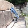 Robot Berkaki Empat Unitree untuk Inspeksi di Area Industri Ekstrem