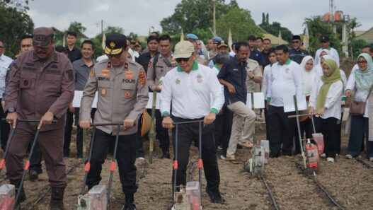 Dukung Ketahanan Pangan, Holding Perkebunan Nusantara Lewat PalmCo Perkuat Kemitraan Petani di Jambi