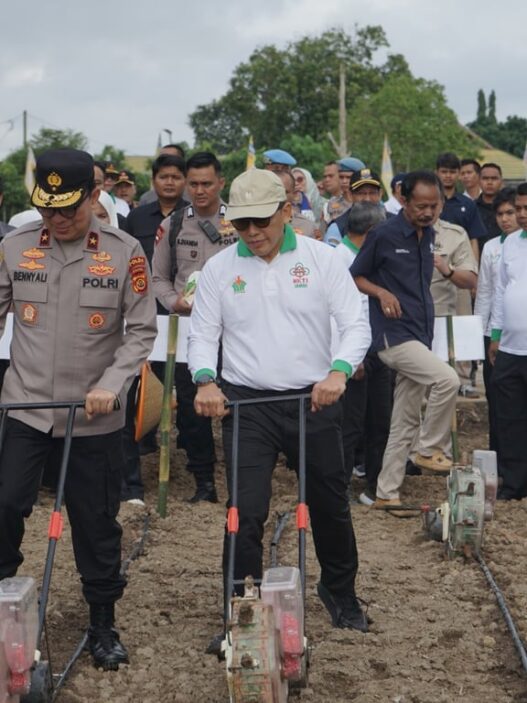 Dukung Ketahanan Pangan, Holding Perkebunan Nusantara Lewat PalmCo Perkuat Kemitraan Petani di Jambi