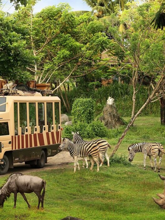 Taman Safari Indonesia Siap Dukung Transformasi Kebun Binatang Bandung sebagai Lembaga Konservasi Modern