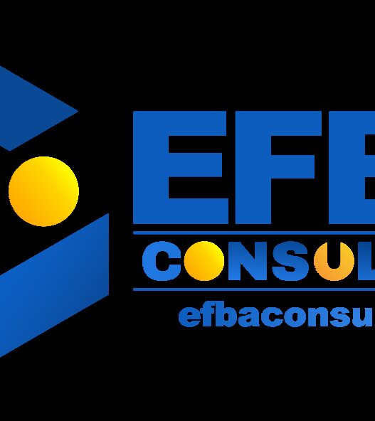 Solusi Strategis Konsultan Bisnis Efba Consulting dalam Menaikkan Angka Penjualan Di 2026