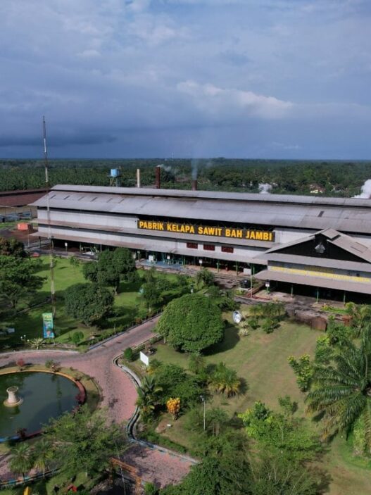 Melalui PalmCo, Holding Perkebunan Nusantara Perluas Akses Digital bagi Sekolah di Pelosok